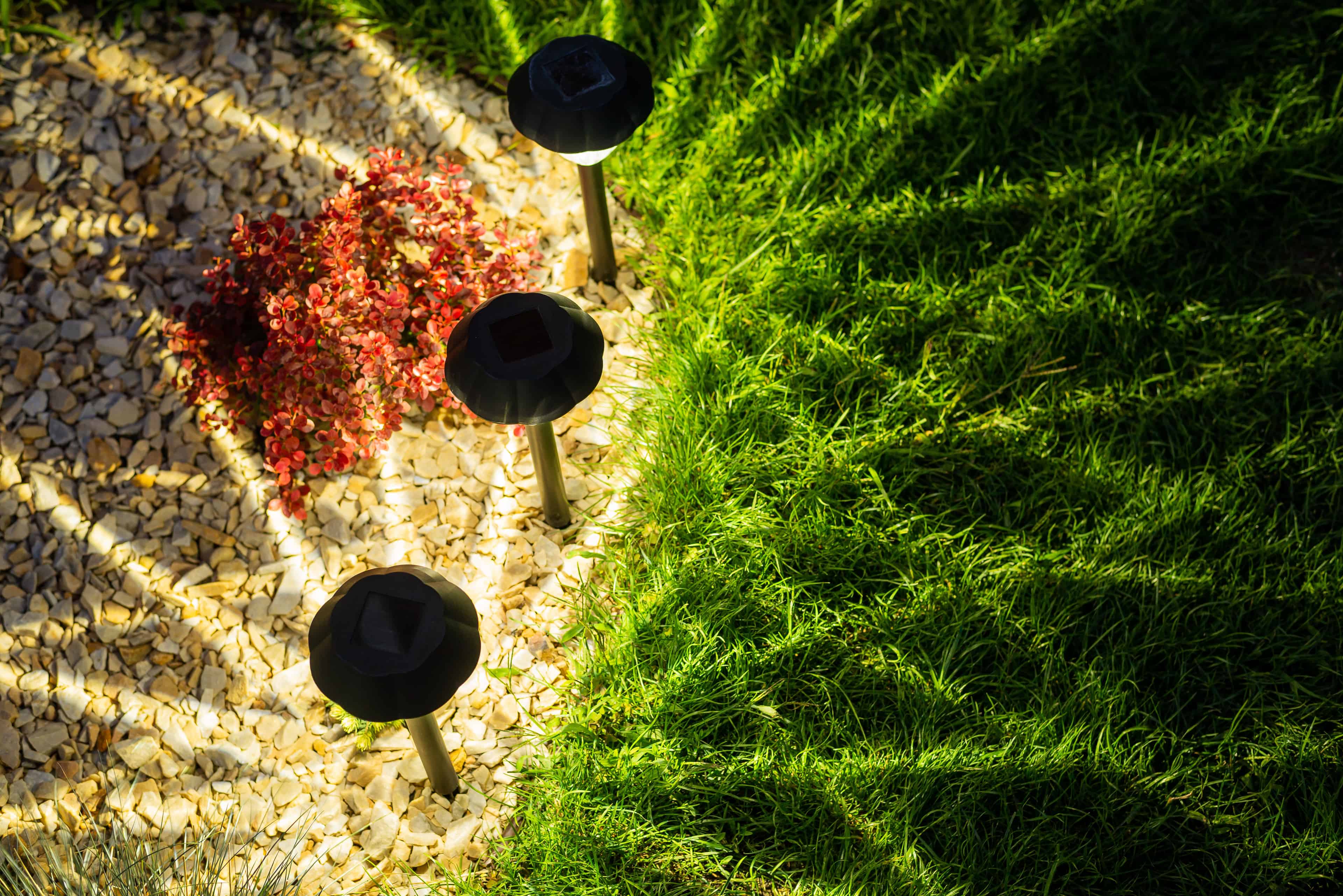 Landscape Lighting image