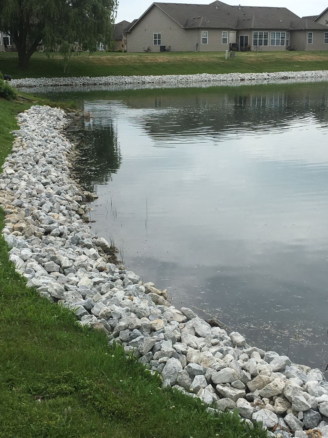 Calm pond bordered by gray rocks and green grass, with houses in the background.