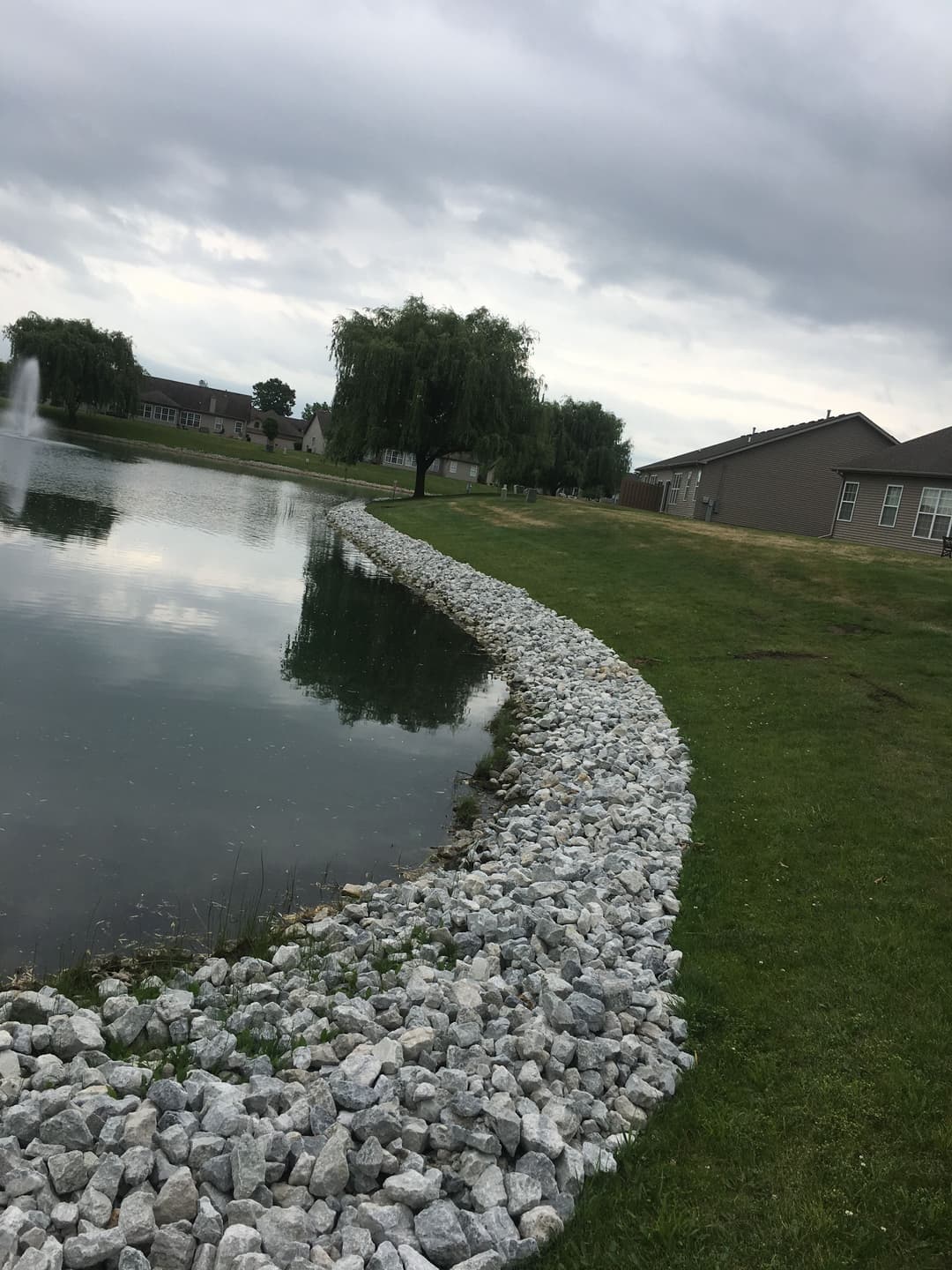 Calm pond with stone shoreline, weeping willows, and residential buildings in the background.