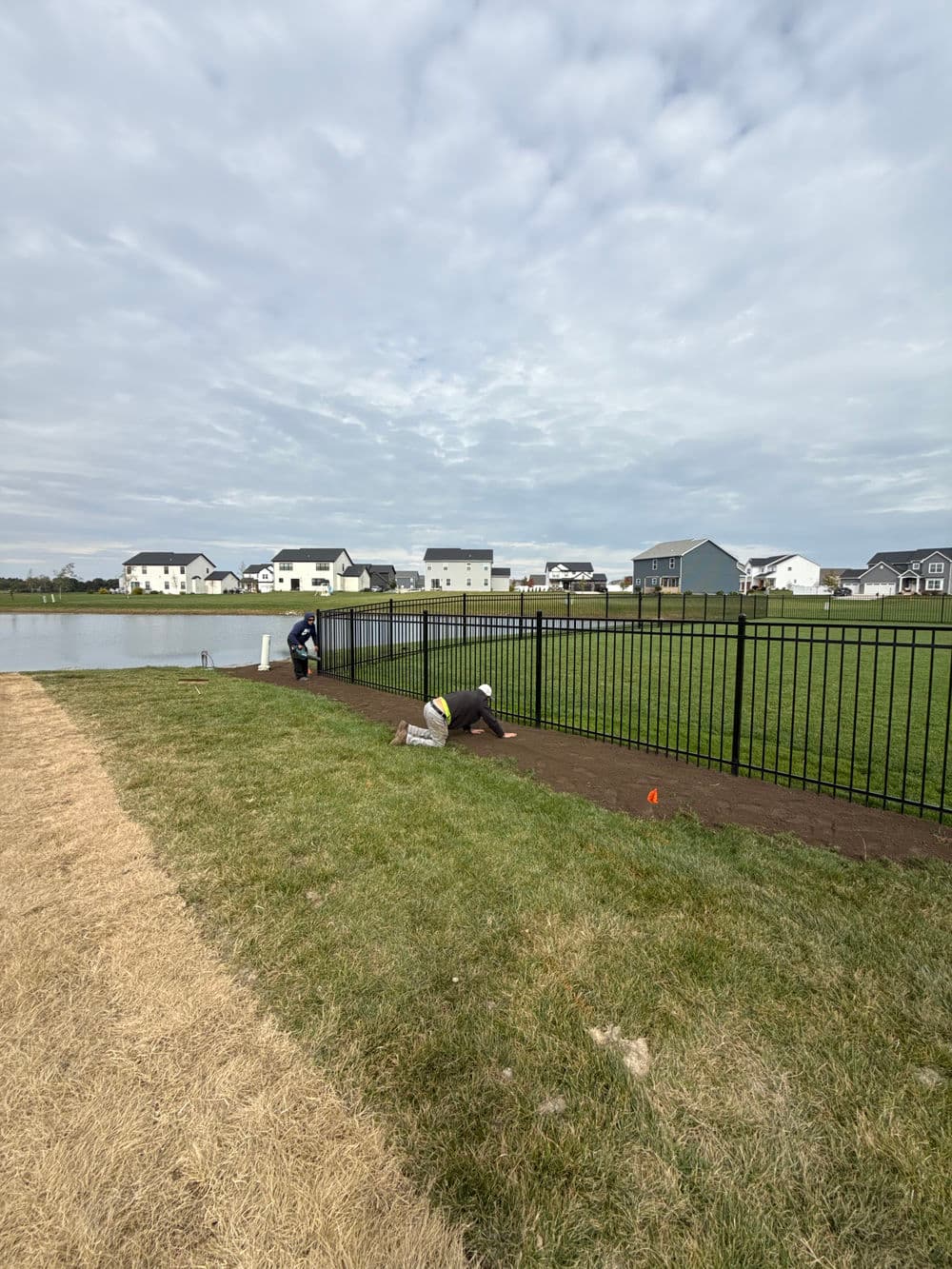 Workers installing a black metal fence near a pond in a residential area.